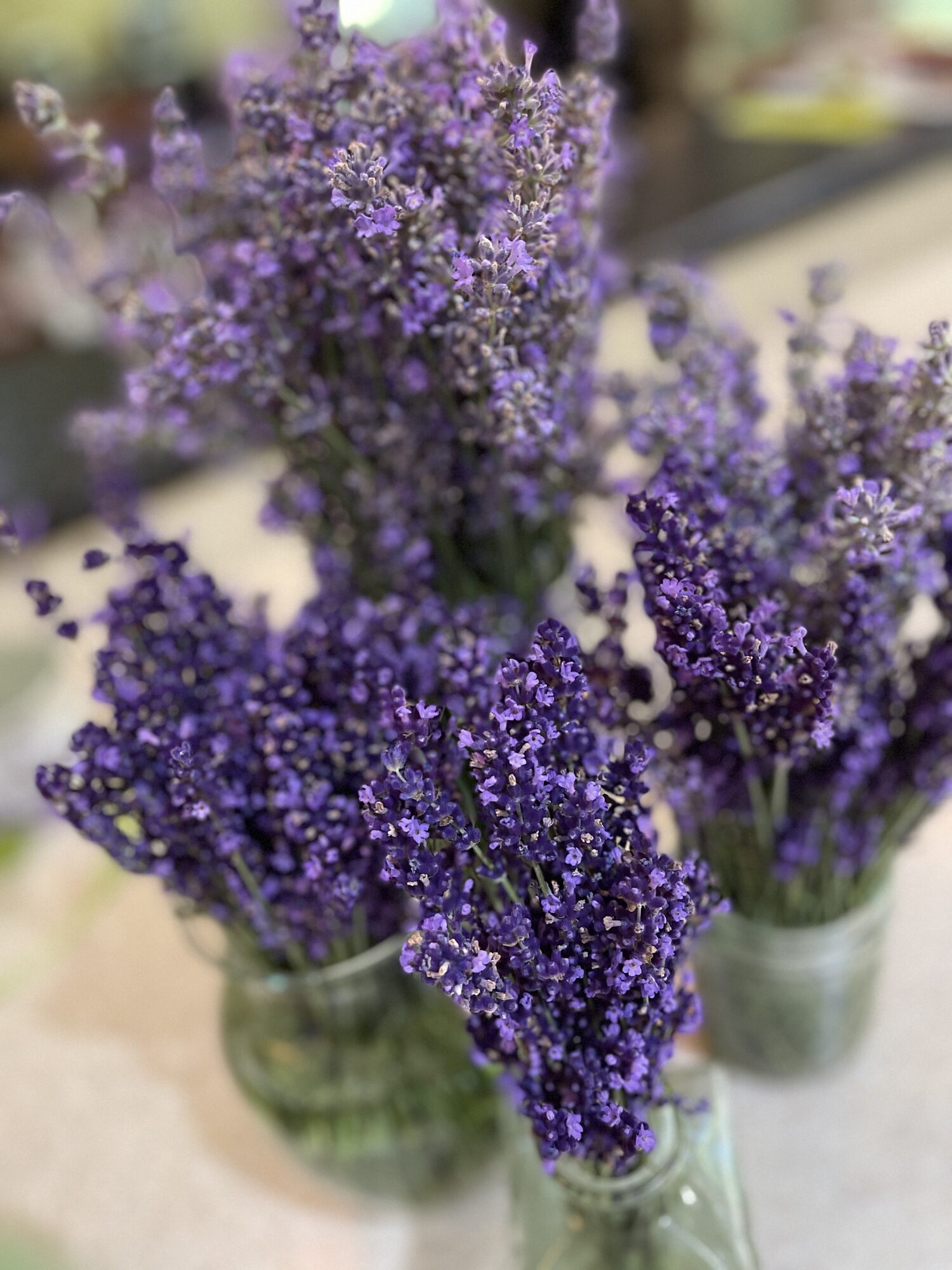 Lavender soap and oil
